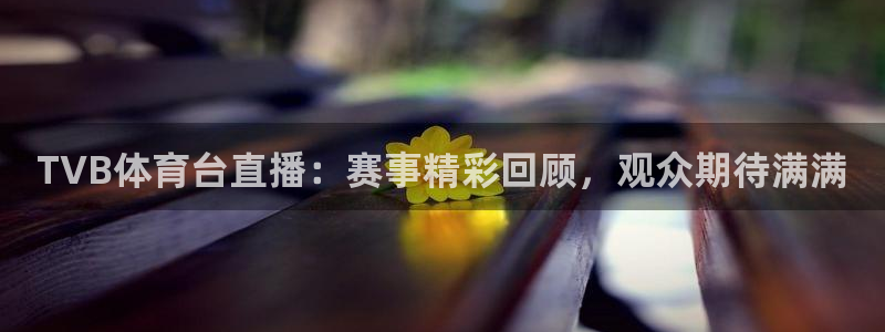 TVB体育台直播：赛事精彩回顾，观众期待满满