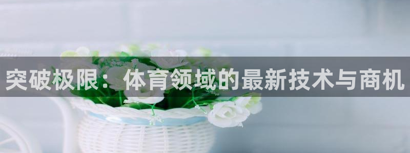 突破极限：体育领域的最新技术与商机