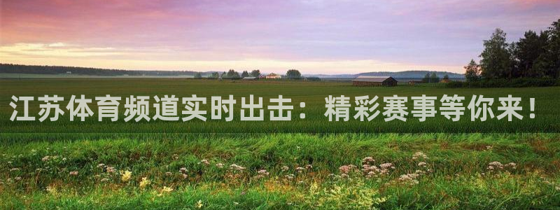 江苏体育频道实时出击：精彩赛事等你来！