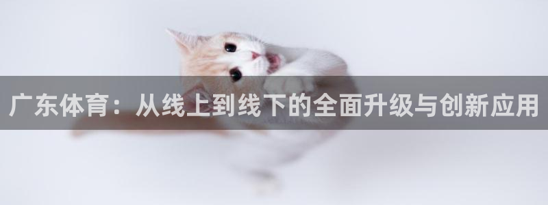 广东体育：从线上到线下的全面升级与创新应用