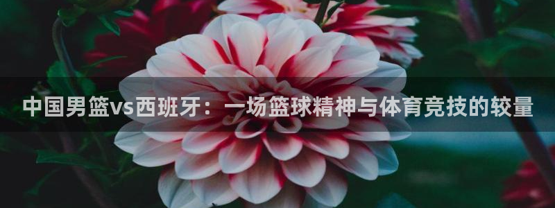 中国男篮vs西班牙：一场篮球精神与体育竞技的较量