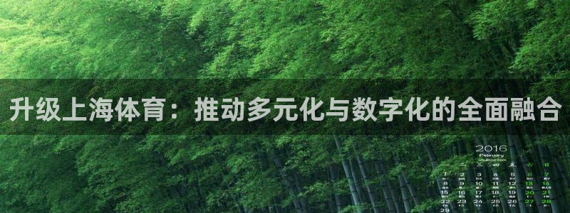升级上海体育：推动多元化与数字化的全面融合