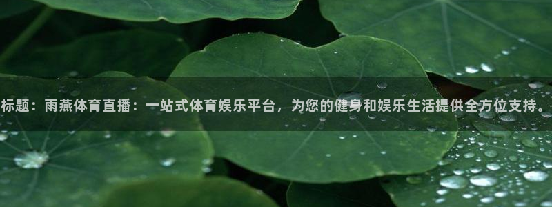 标题：雨燕体育直播：一站式体育娱乐平台，为您的健身和娱乐生活提供全方位支持。