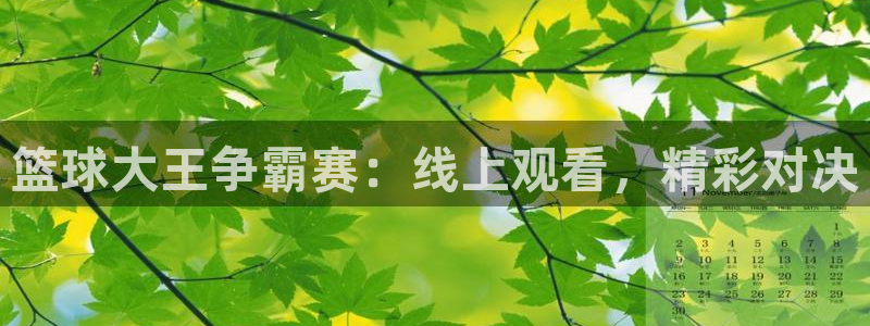 篮球大王争霸赛：线上观看，精彩对决