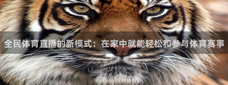 全民体育直播的新模式：在家中就能轻松和参与体育赛事