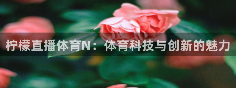 柠檬直播体育N：体育科技与创新的魅力