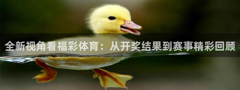 全新视角看福彩体育：从开奖结果到赛事精彩回顾