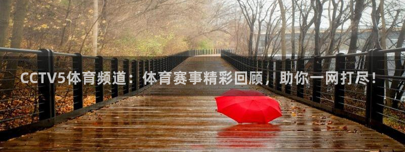 CCTV5体育频道：体育赛事精彩回顾，助你一网打尽！