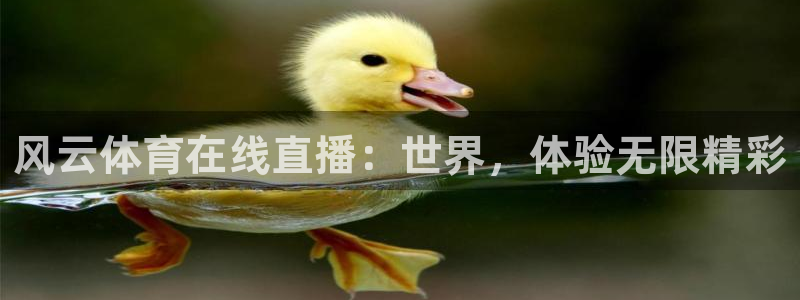 风云体育在线直播：世界，体验无限精彩