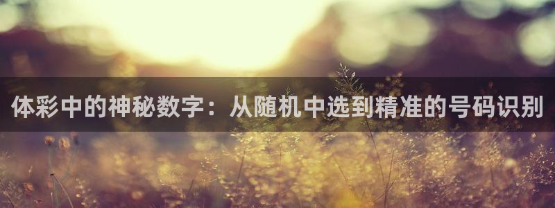 体彩中的神秘数字：从随机中选到精准的号码识别