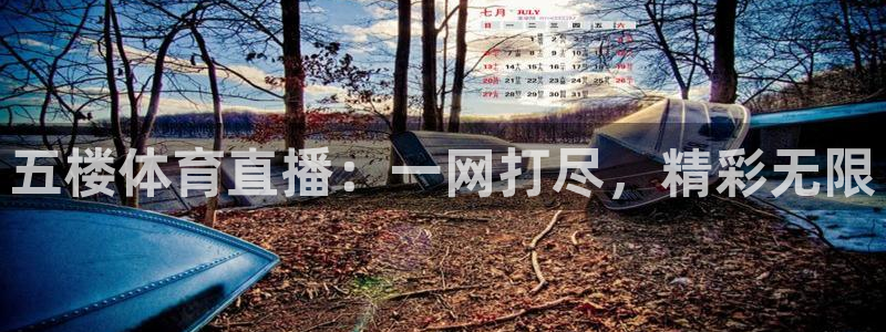五楼体育直播：一网打尽，精彩无限