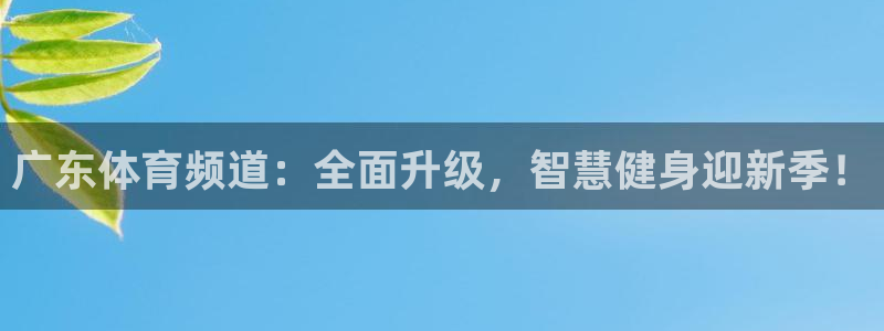 广东体育频道：全面升级，智慧健身迎新季！