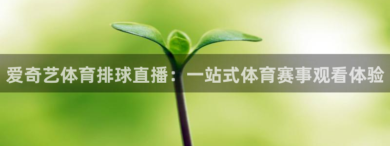 爱奇艺体育排球直播：一站式体育赛事观看体验