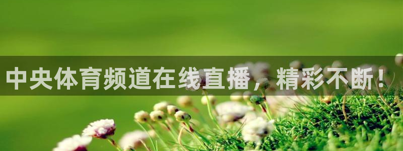 中央体育频道在线直播，精彩不断！