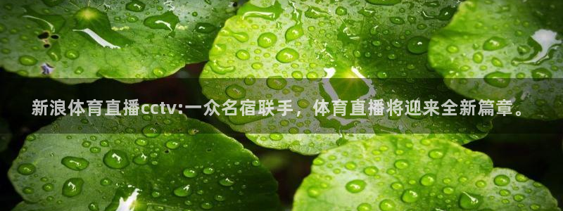 新浪体育直播cctv:一众名宿联手，体育直播将迎来全新篇章。