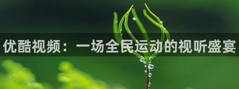 优酷视频：一场全民运动的视听盛宴